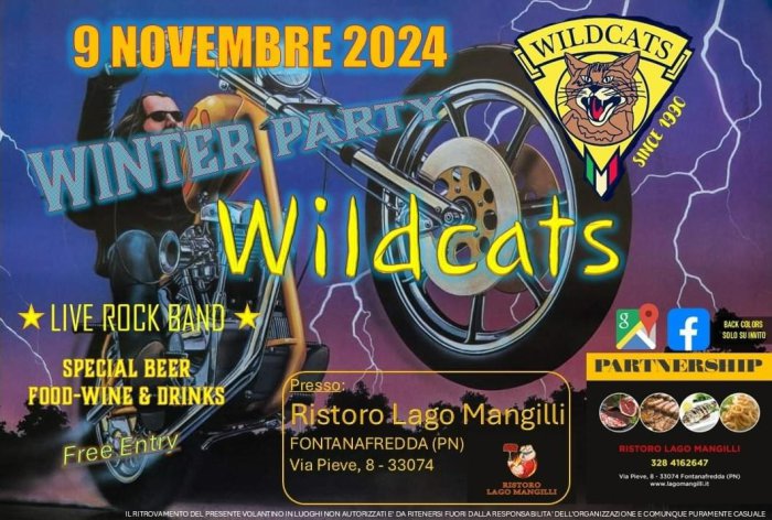 Wildcats winter party
