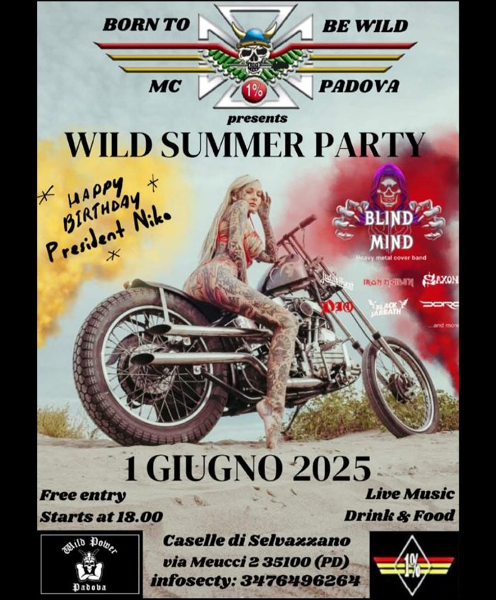 WILD SUMMER PARTY