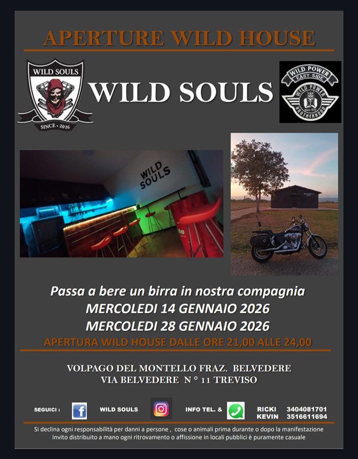 apertura Wild House